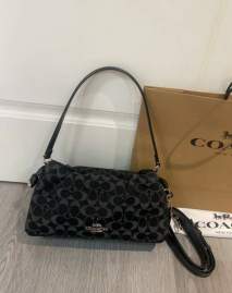 Picture of Coach Handbags _SKUfw233328830fw